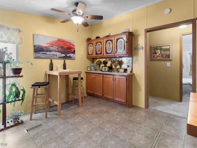 131 Birchbark Drive, Elyria, OH 44035 Photo 10