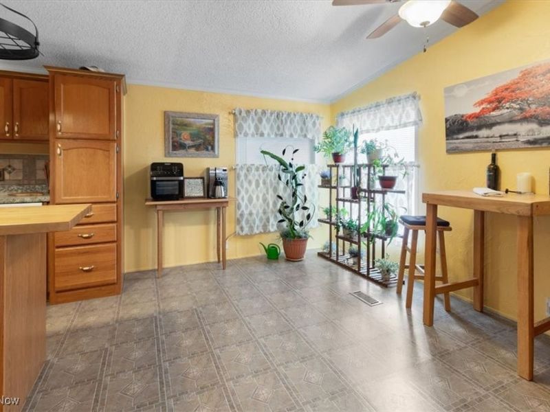 131 Birchbark Drive, Elyria, OH 44035 Photo 11