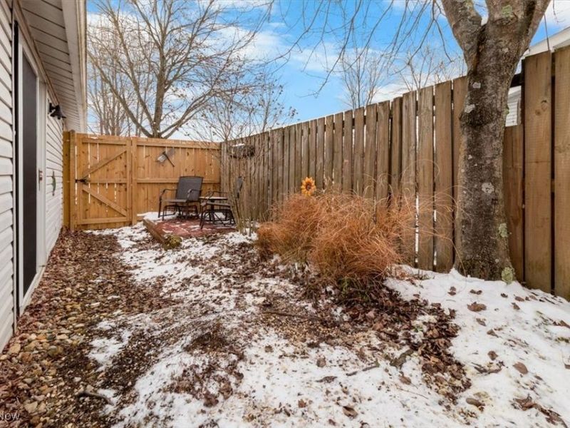 131 Birchbark Drive, Elyria, OH 44035 Photo 12