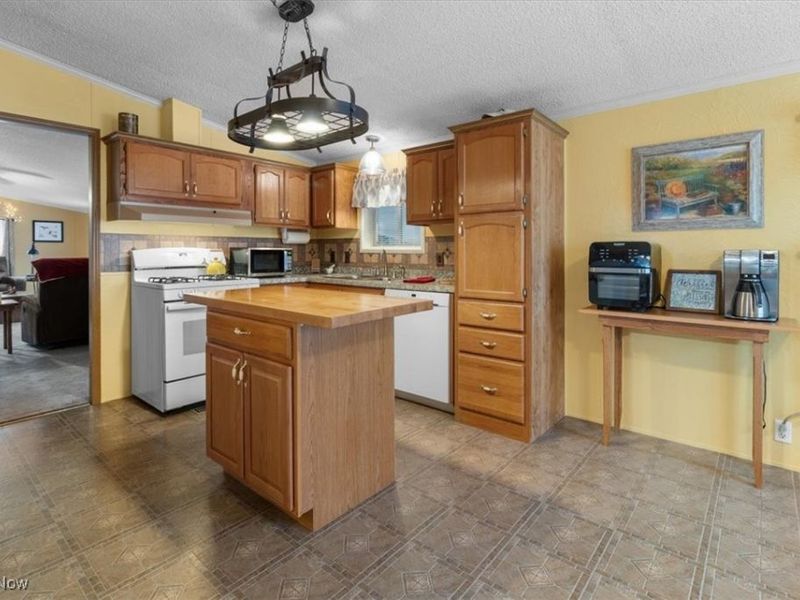 131 Birchbark Drive, Elyria, OH 44035 Photo 23