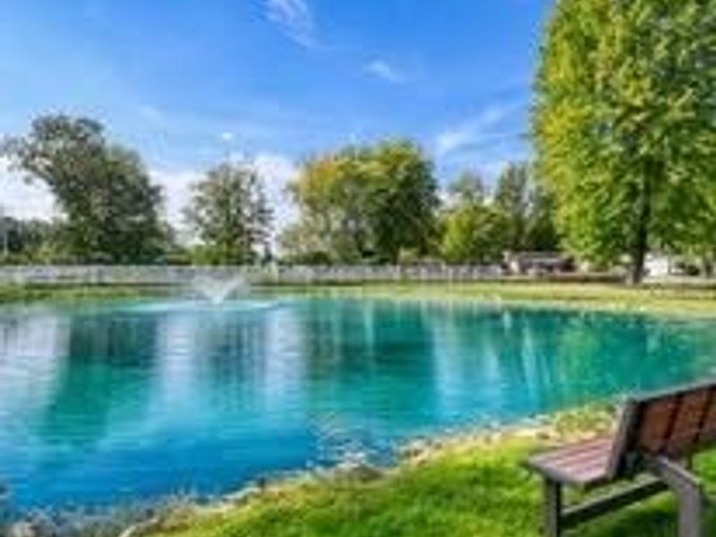 131 Birchbark Drive, Elyria, OH 44035 Photo 35