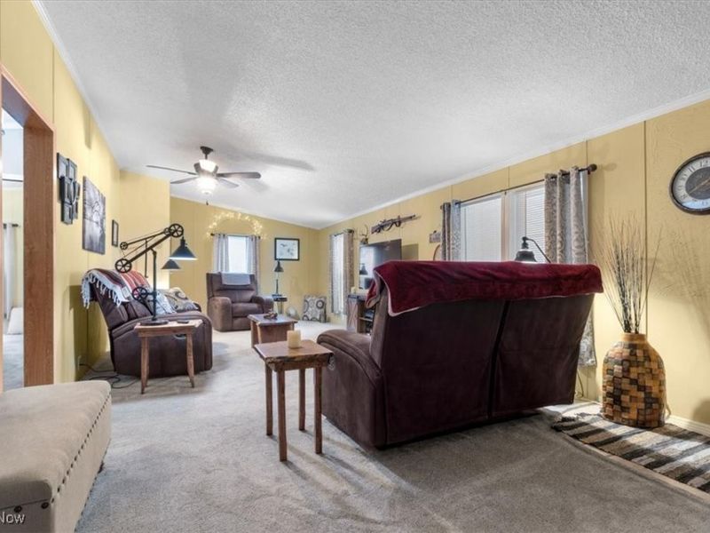 131 Birchbark Drive, Elyria, OH 44035 Photo 5