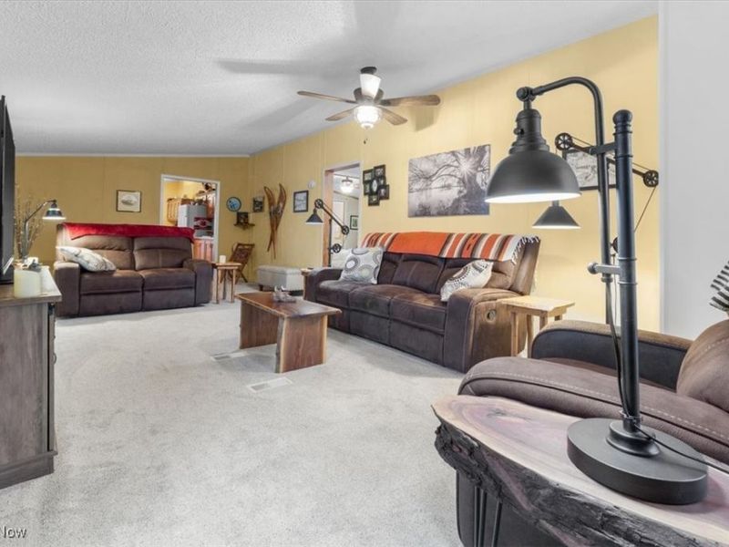 131 Birchbark Drive, Elyria, OH 44035 Photo 6