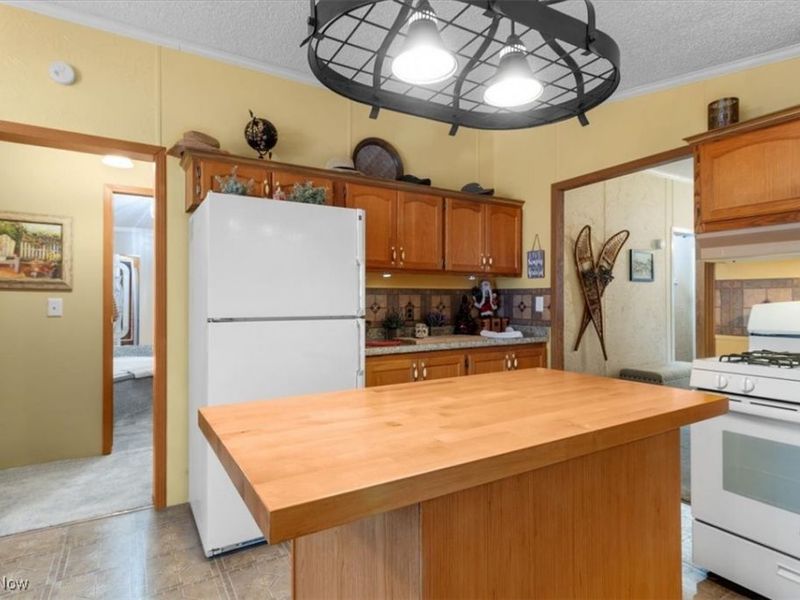 131 Birchbark Drive, Elyria, OH 44035 Photo 7