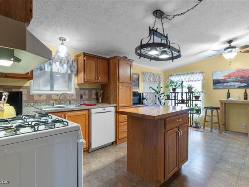 131 Birchbark Drive, Elyria, OH 44035 Photo 9