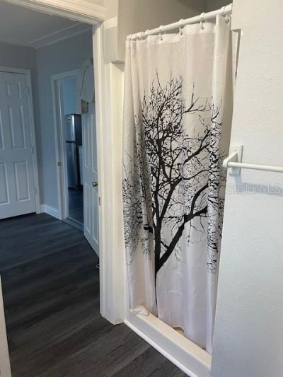 2438 9th Avenue S, Saint Petersburg, FL 33712 Photo