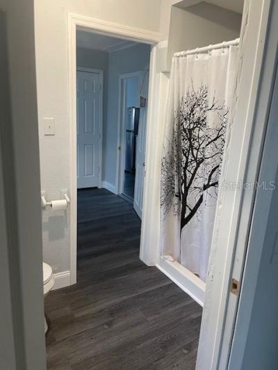 2438 9th Avenue S, Saint Petersburg, FL 33712 Photo