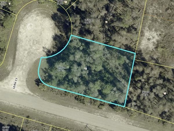 1019 LEAH Court, Lehigh Acres, FL 33974