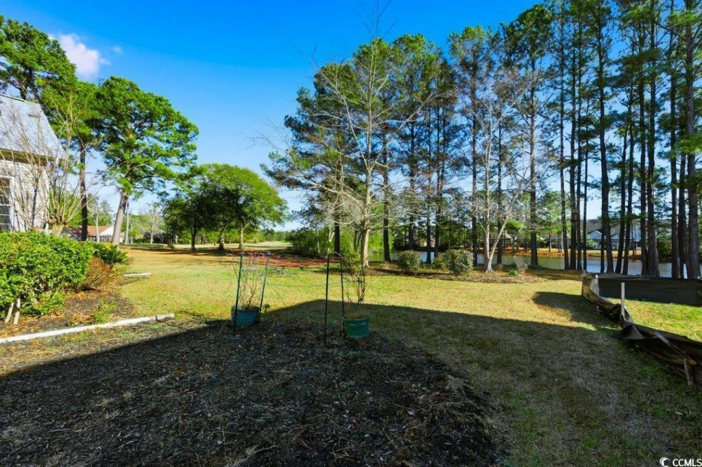 1131 Bear Lake Dr. Photo 33