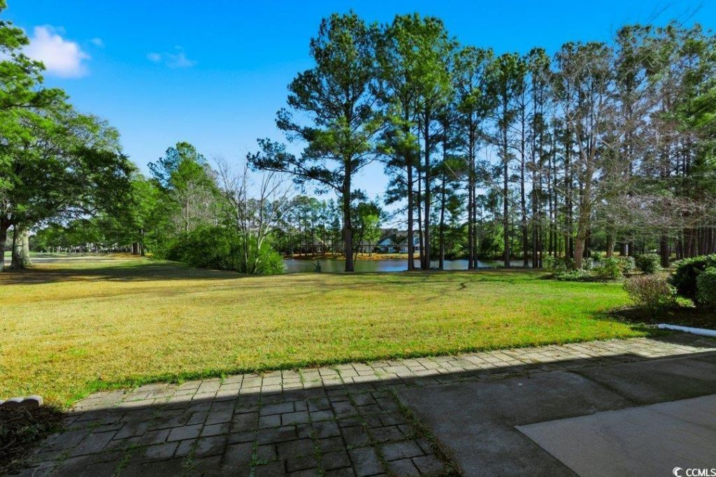 1131 Bear Lake Dr. Photo 34