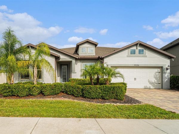 19206 BRIARBROOK DRIVE, TAMPA, FL 33647