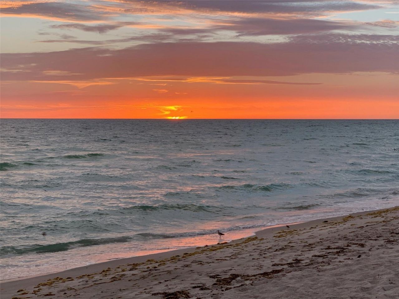 519 Rountree Drive, Longboat Key, FL 34228 Photo