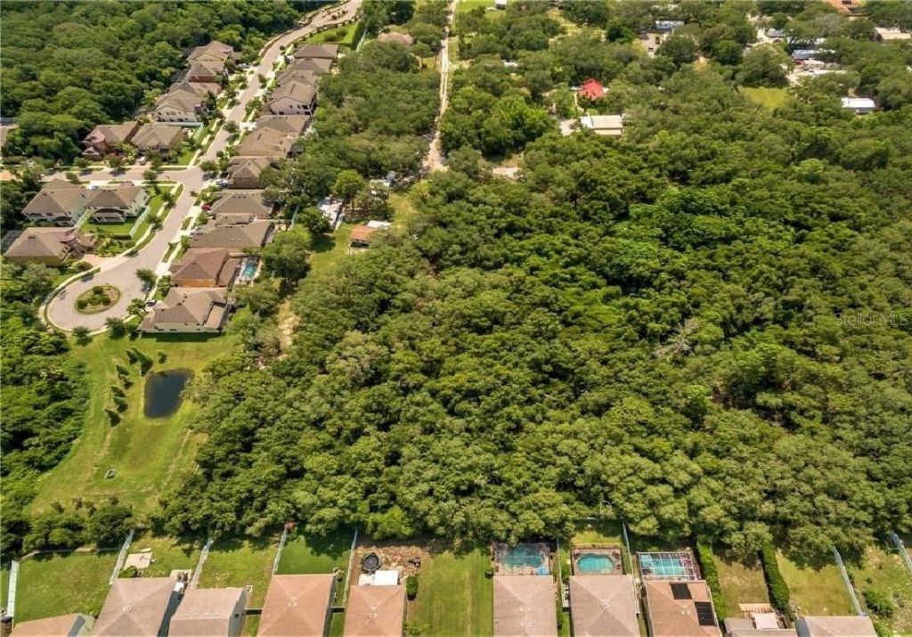 11117 Mcmullen Road, Riverview, FL 33569 Photo