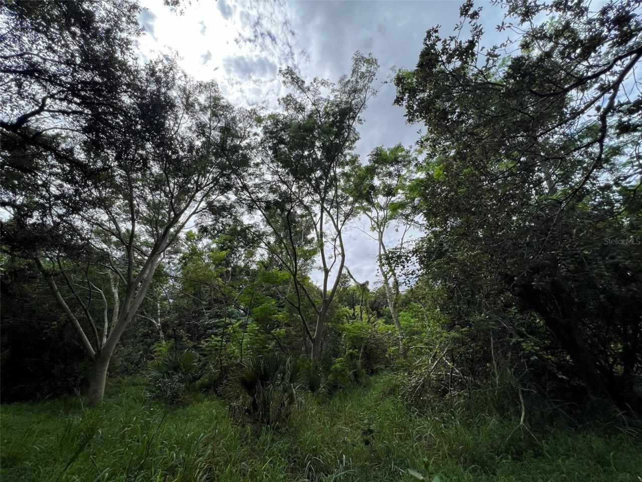 11117 Mcmullen Road, Riverview, FL 33569 Photo