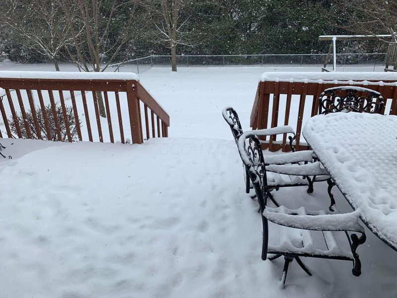 309 N Grant Street, Christiansburg, OH 45389 Photo 42