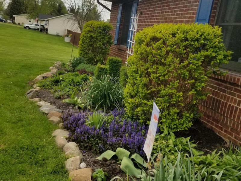 309 N Grant Street, Christiansburg, OH 45389 Photo 45