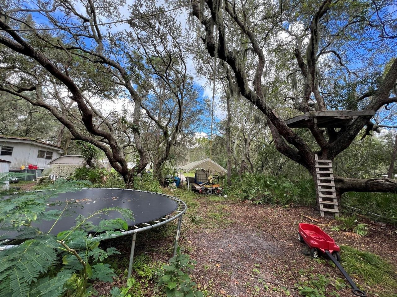 11117 Mcmullen Road, Riverview, FL 33569 Photo