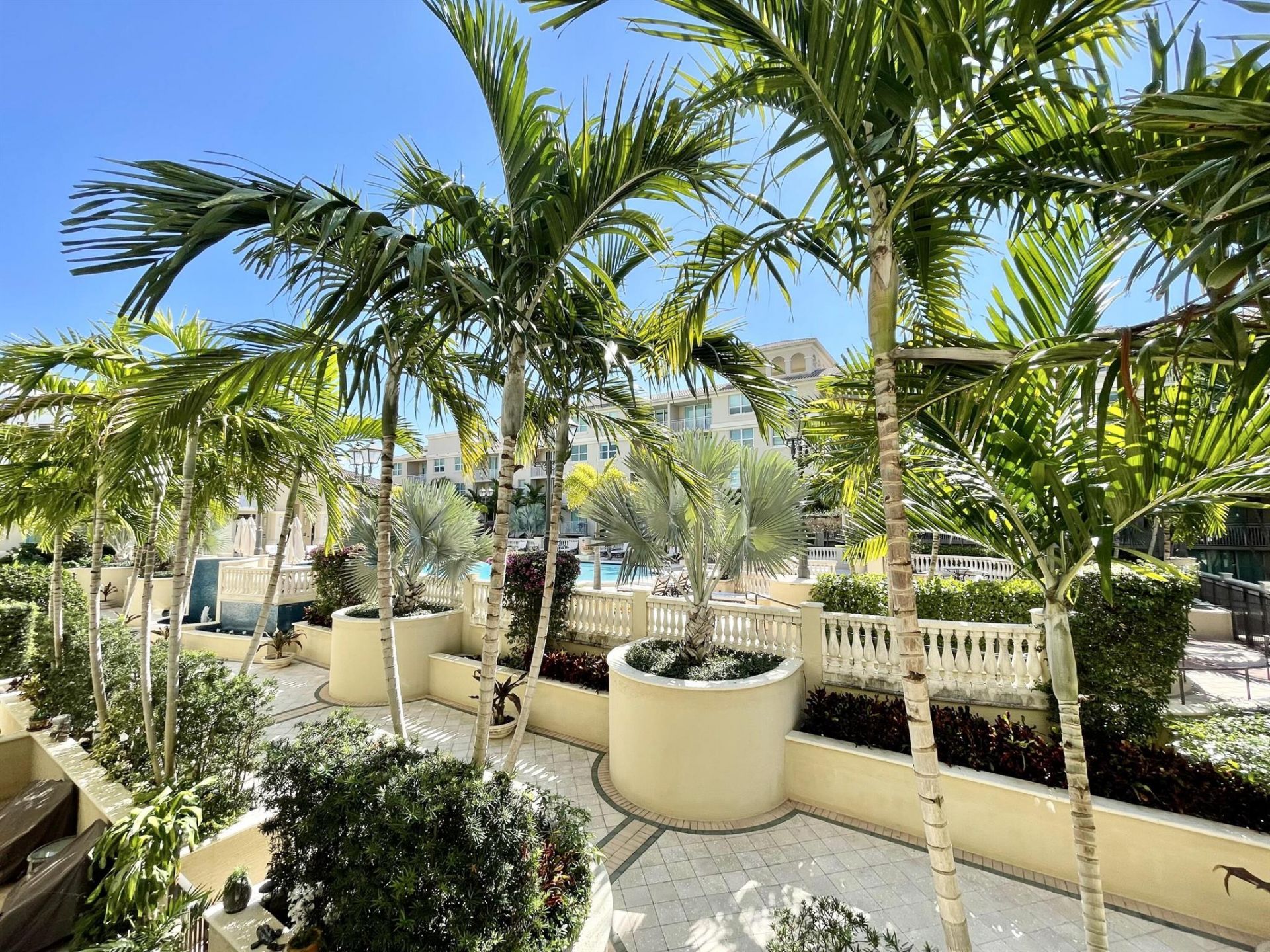 99 SE Mizner Boulevard, Unit 736, Boca Raton, FL 33432 Photo