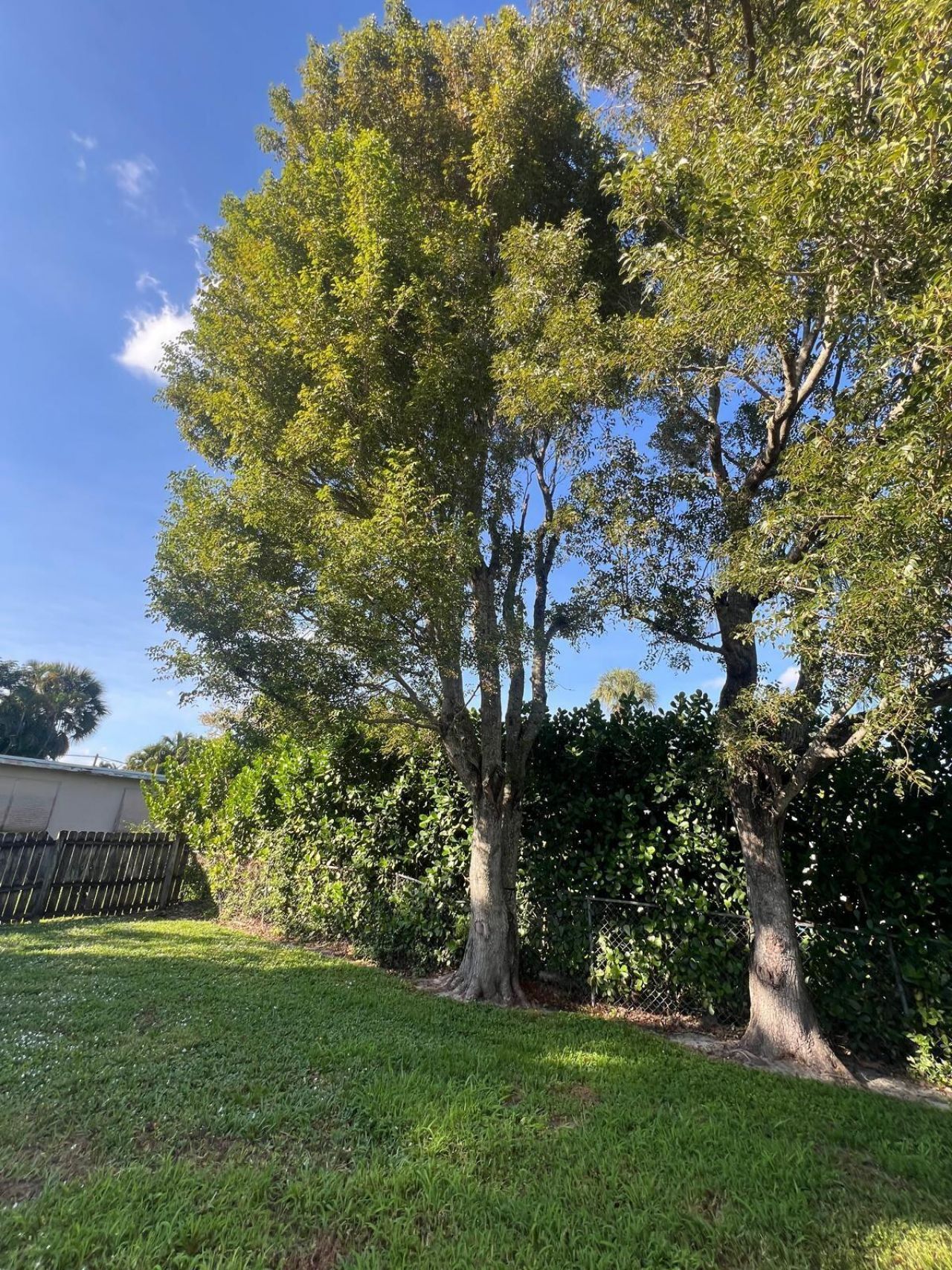 700 N Hepburn Avenue N, Jupiter, FL 33458 Photo