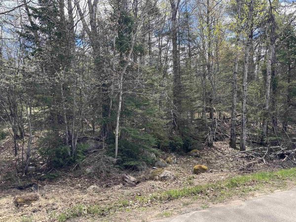 TBD AL County Road, Humboldt Twp, MI 49814