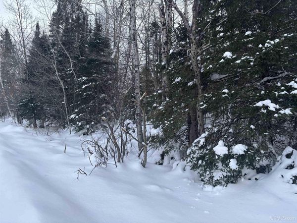 TBD AL County Road, Humboldt Twp, MI 49814