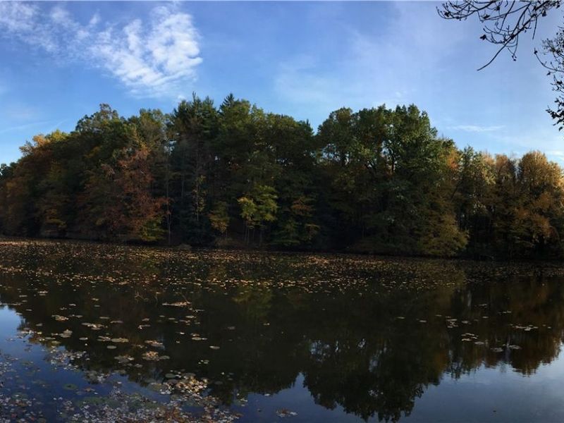 15720 Jug Road, Burton, OH 44021 Photo 46