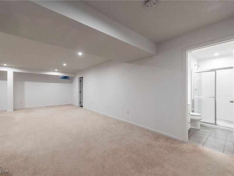 801 Willich Court, Lagrange, OH 44050 Photo 30