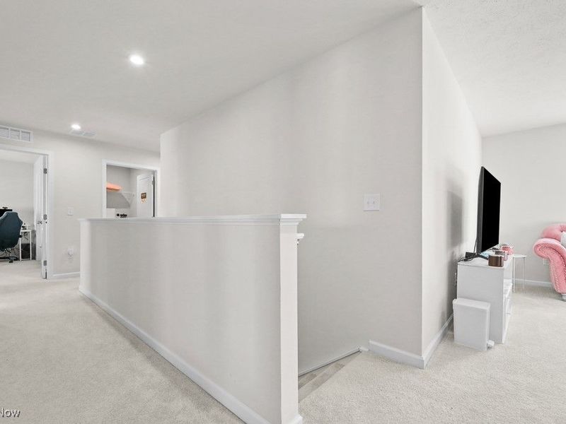 250 Leather Leaf Drive, Elyria, OH 44035 Photo 20