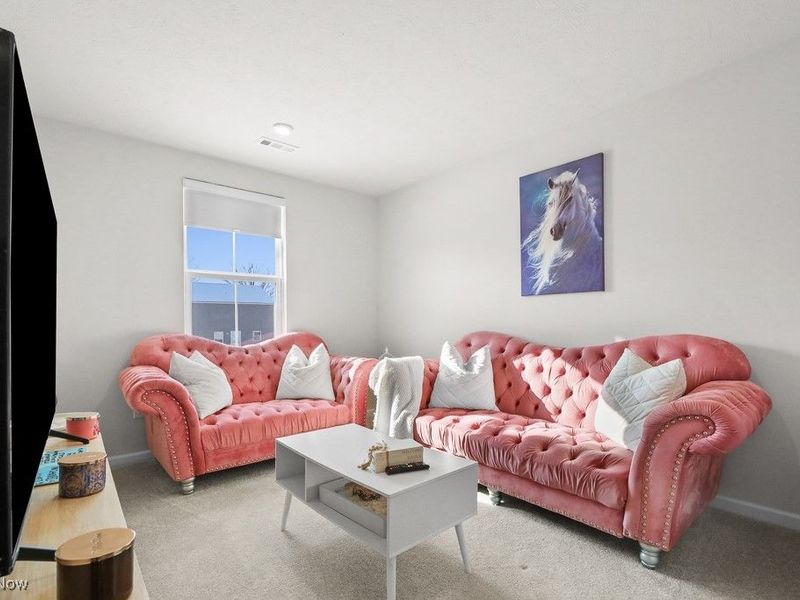 250 Leather Leaf Drive, Elyria, OH 44035 Photo 21