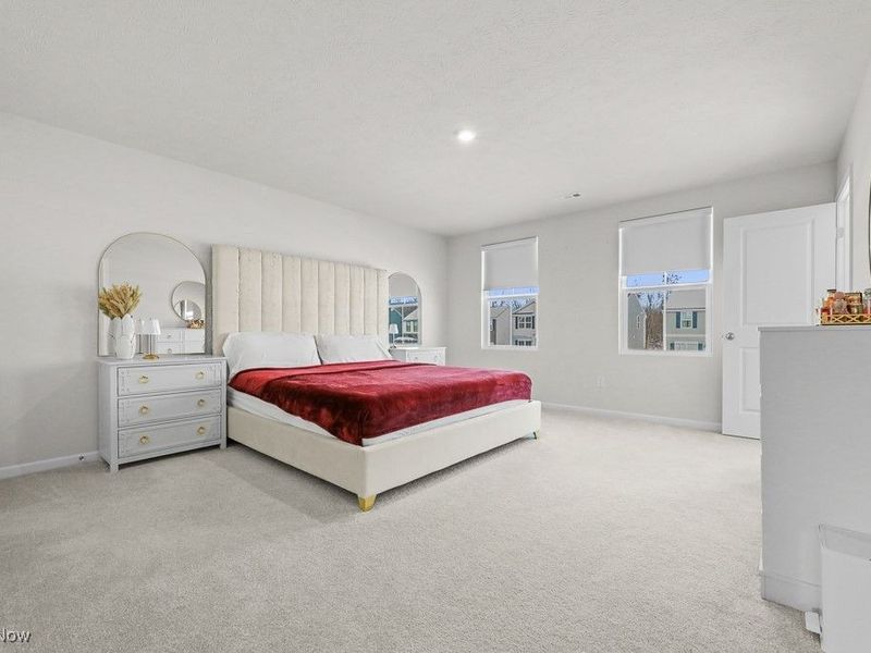 250 Leather Leaf Drive, Elyria, OH 44035 Photo 22