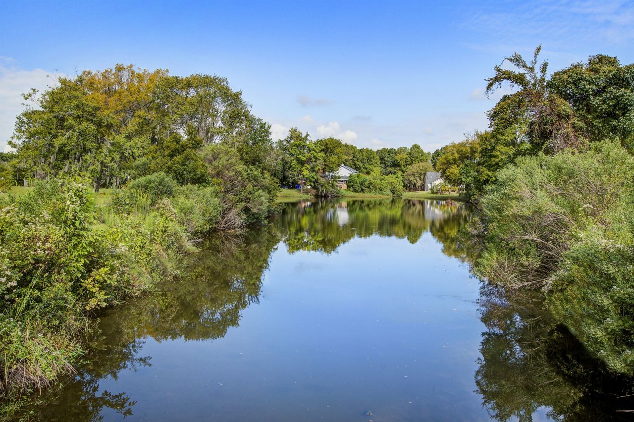 11 Stutz Court Photo 34