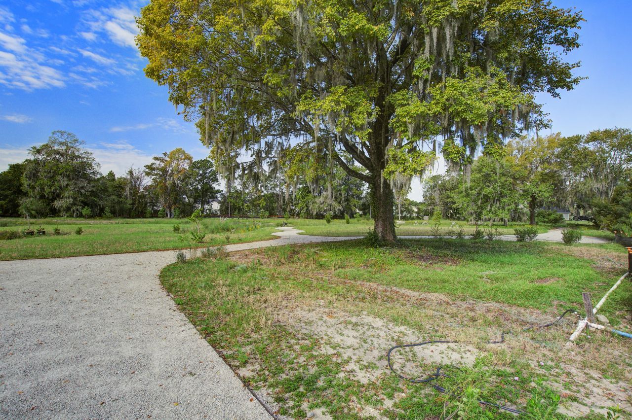 11 Stutz Court Photo 36