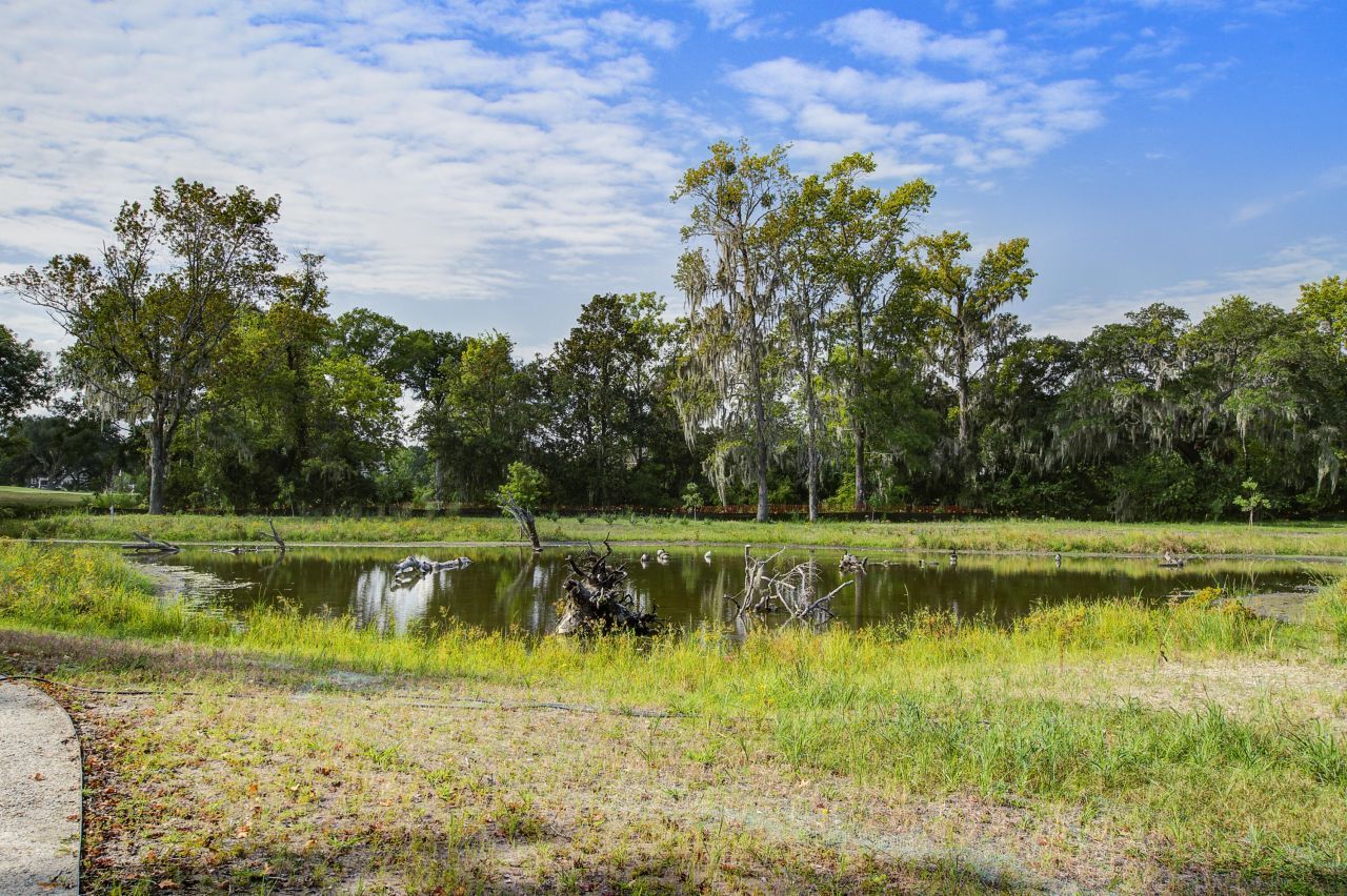 11 Stutz Court Photo 37