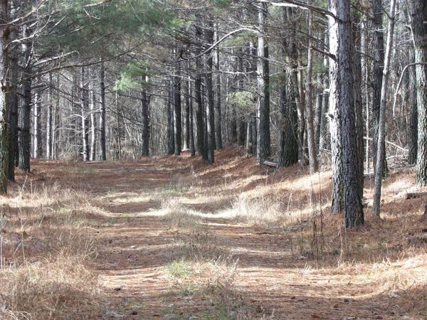 340 Randell Harris Road, Evensville, TN 37332