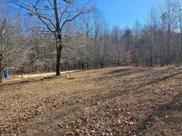 827 Dale Trail, Cloudland, GA 30731