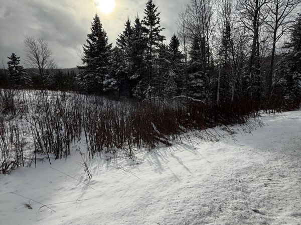 On US Route 2 W, Danville, VT 05828