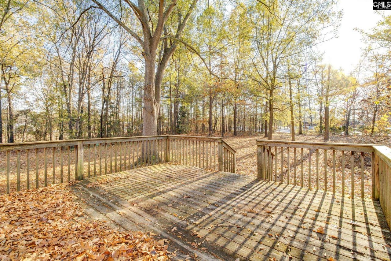 9 Tawny Branch Court Photo 24