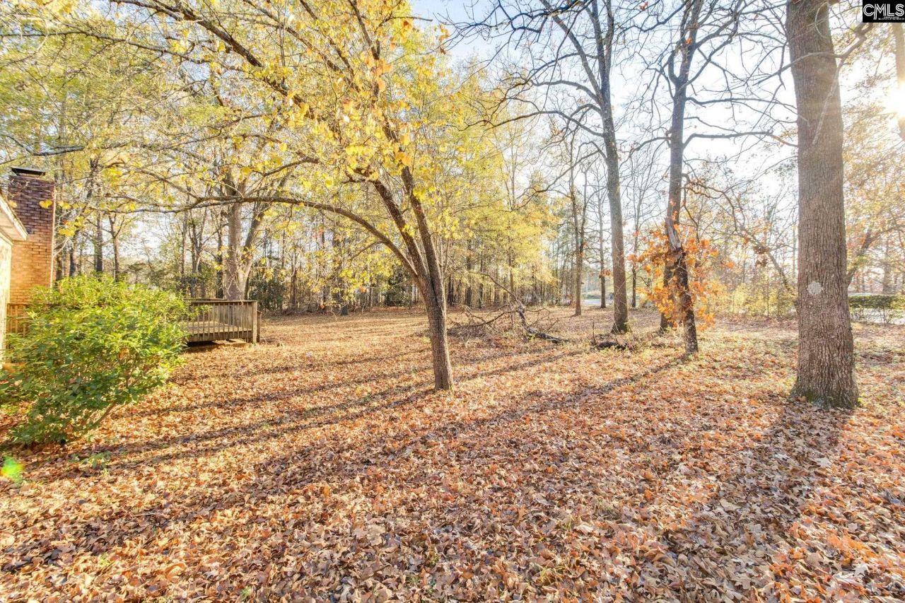 9 Tawny Branch Court Photo 25