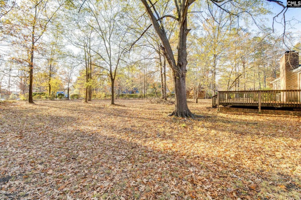 9 Tawny Branch Court Photo 26