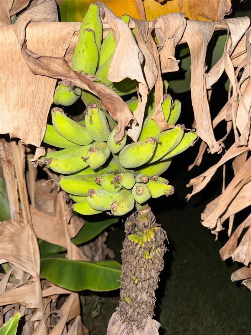 2750 Abbotsford Street, North Port, FL 34287 Photo