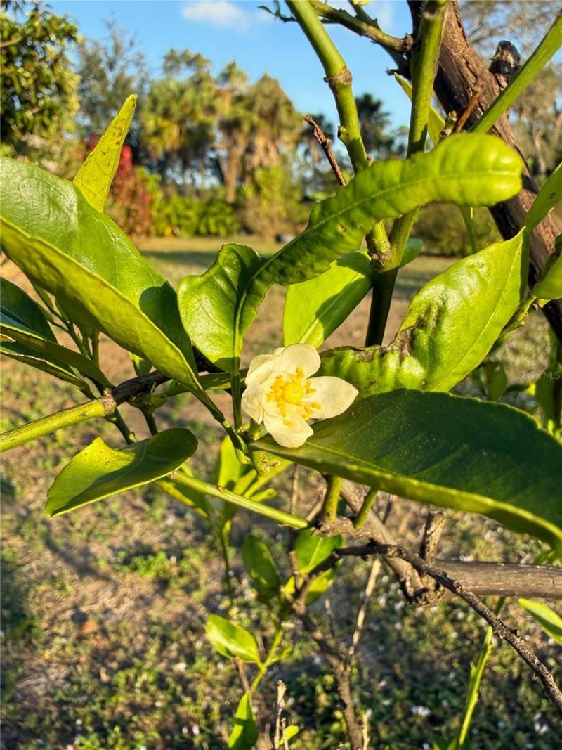 2750 Abbotsford Street, North Port, FL 34287 Photo