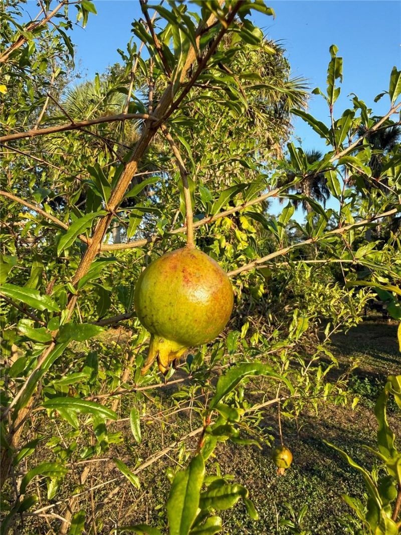 2750 Abbotsford Street, North Port, FL 34287 Photo