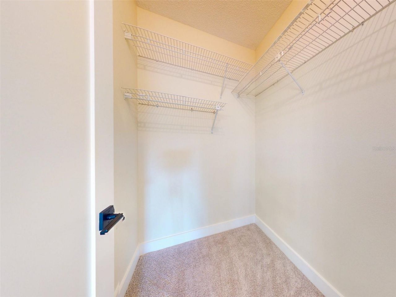 804 Soft Pine Court, New Smyrna Beach, FL 32168 Photo