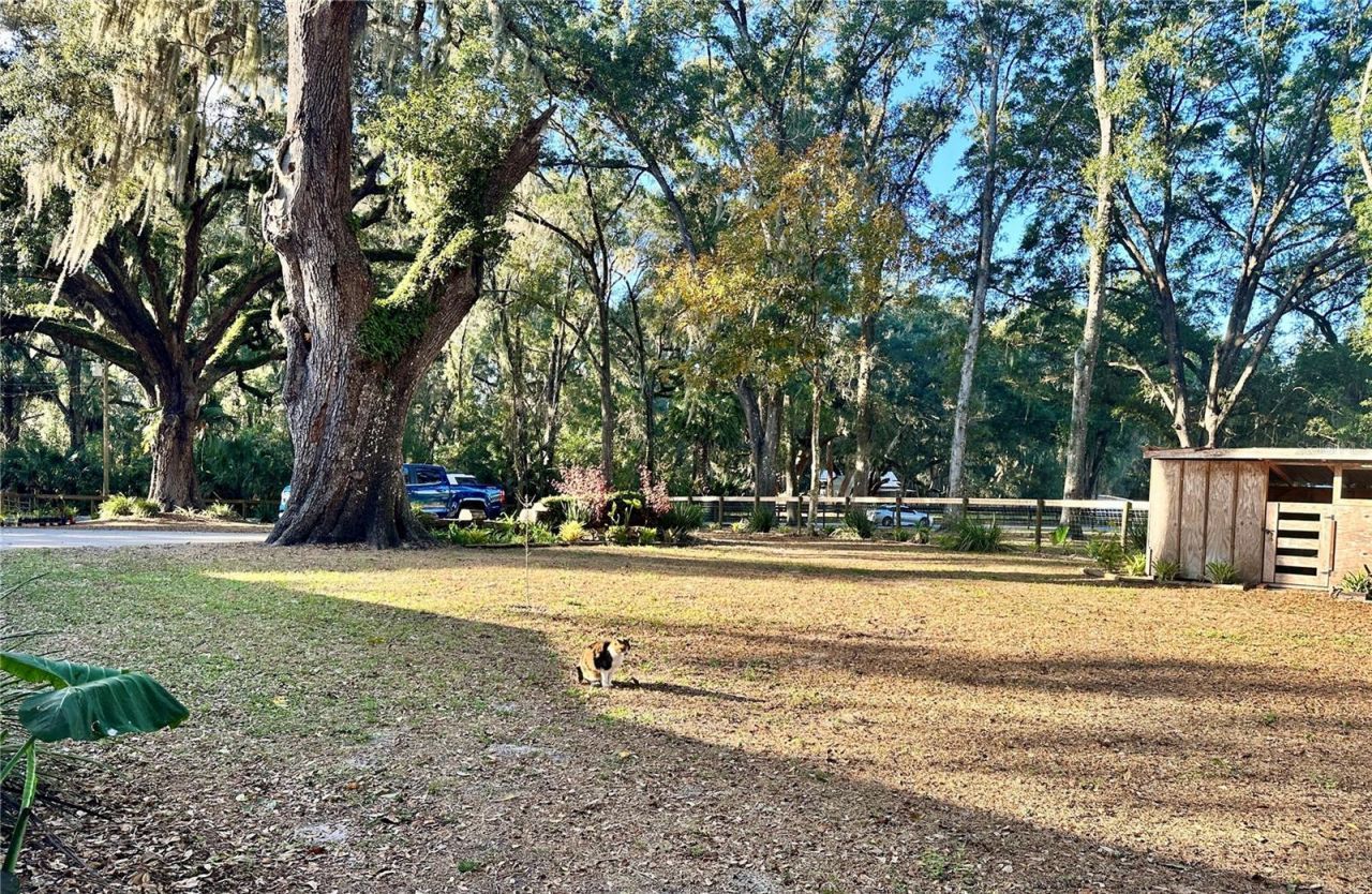 13565 NE 38th Avenue, Anthony, FL 32617 Photo