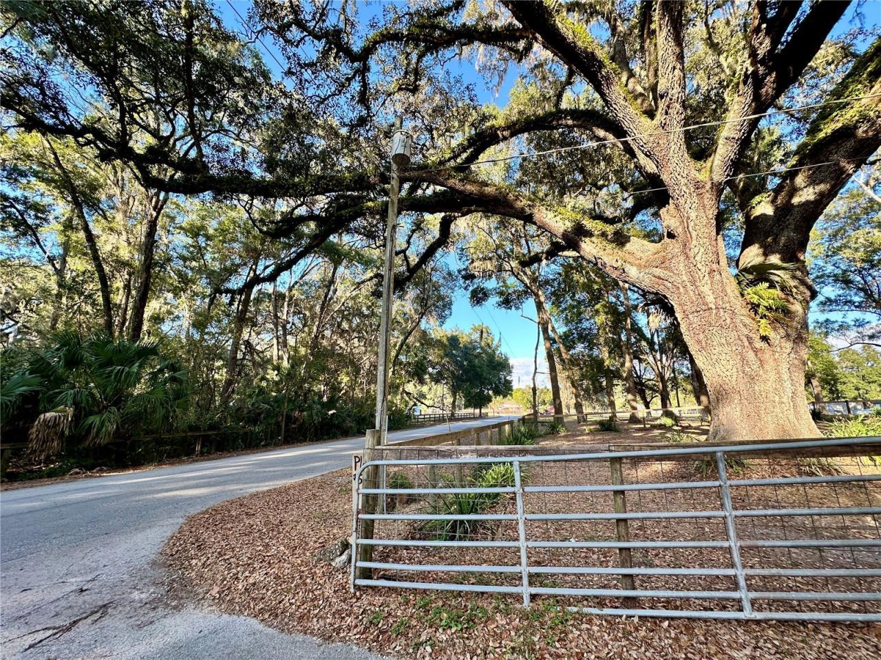 13565 NE 38th Avenue, Anthony, FL 32617 Photo