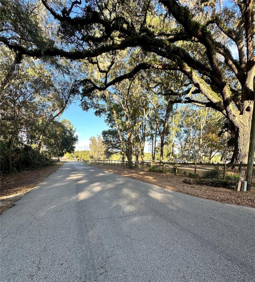 13565 NE 38th Avenue, Anthony, FL 32617 Photo