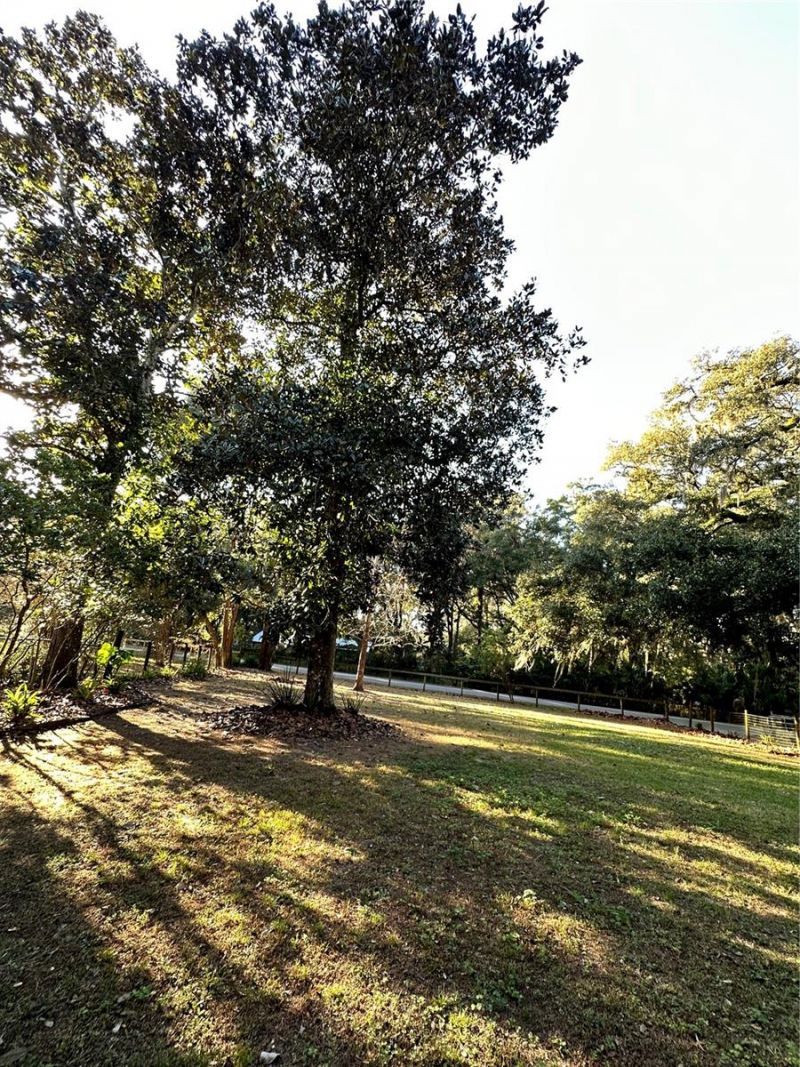 13565 NE 38th Avenue, Anthony, FL 32617 Photo