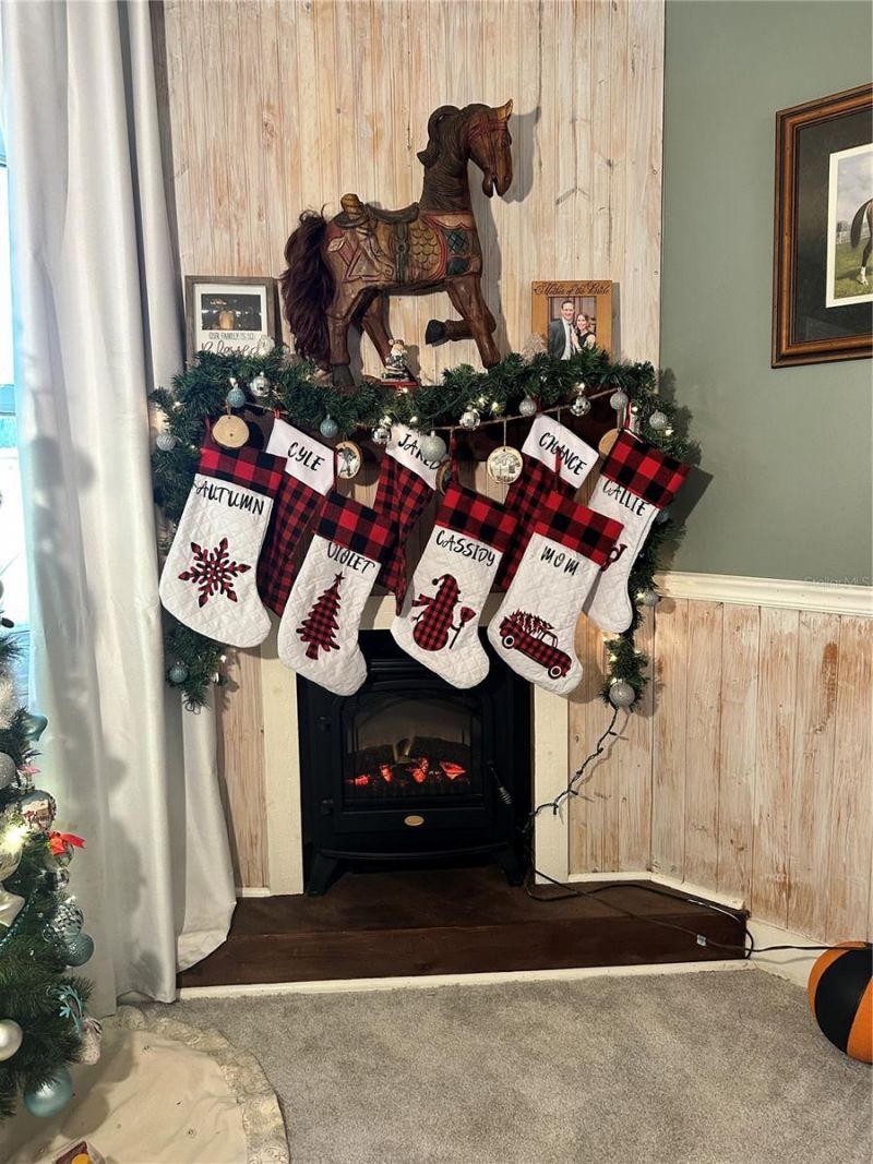 13565 NE 38th Avenue, Anthony, FL 32617 Photo