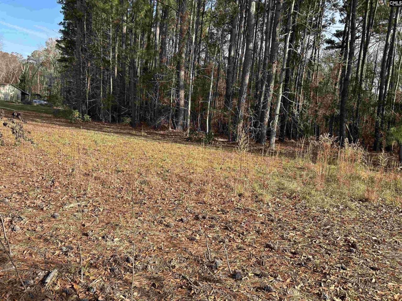 440 Paschal Road Photo 11