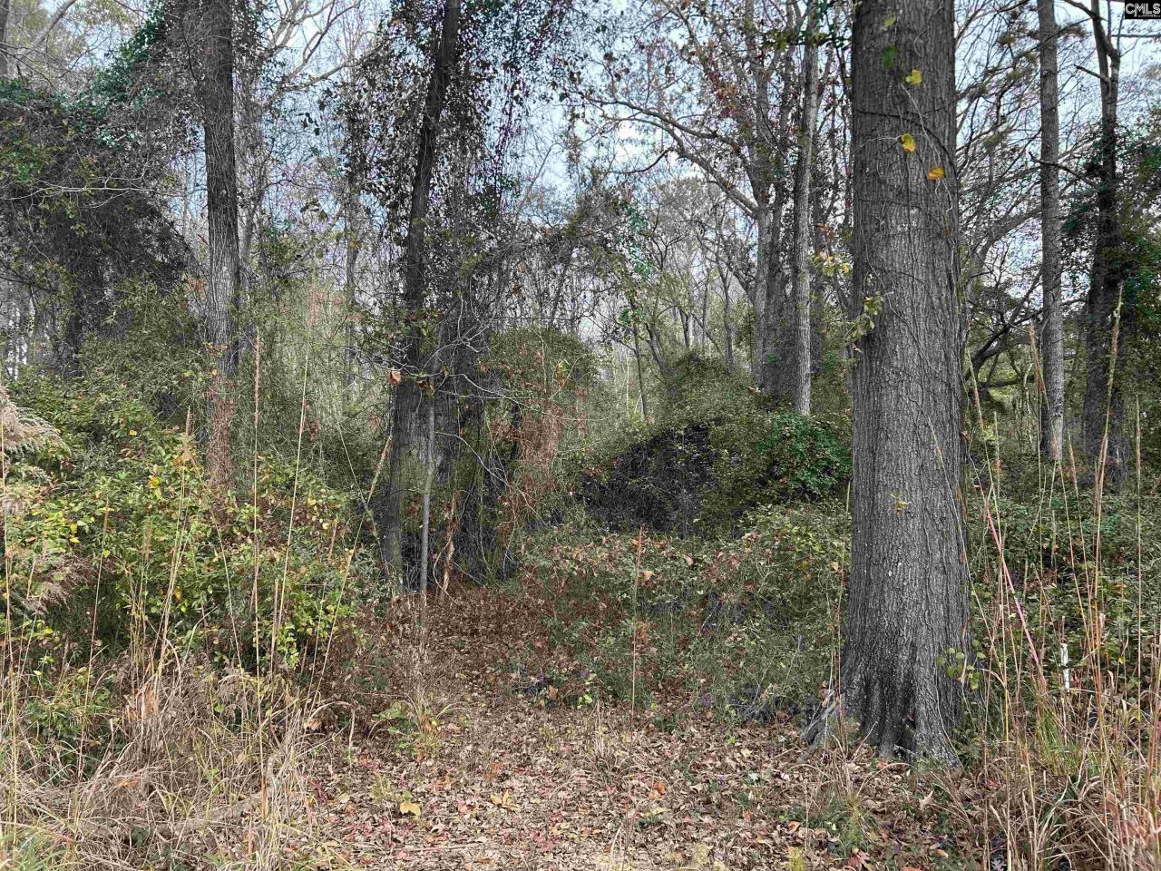 440 Paschal Road Photo 13